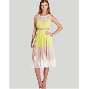 BCBG Aline Pleated Color block Midi Dress